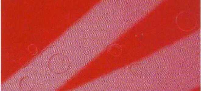 Как проявляются водяные метки на свежеокрашенном кузове авто?