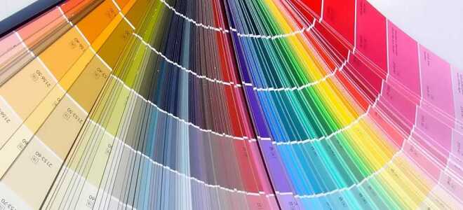 Подбор номера краски авто по вин коду: советы профессионалов