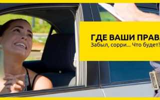 Забыл права дома, какой штраф? Что будет в 2022 году