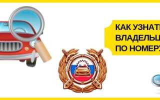 Как узнать владельца авто по номеру: платные и бесплатные сервисы