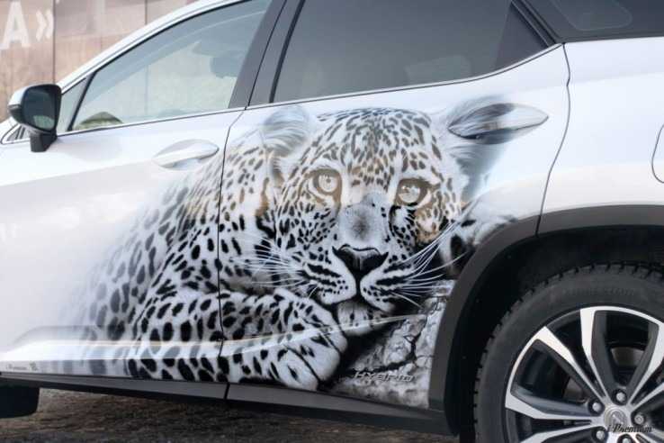 Наклейка на кузове автомобиля