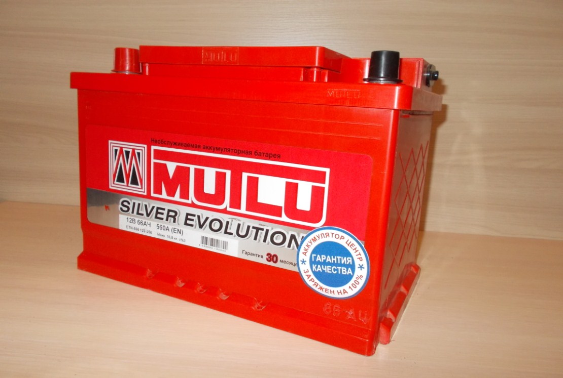 Mutlu Evolution