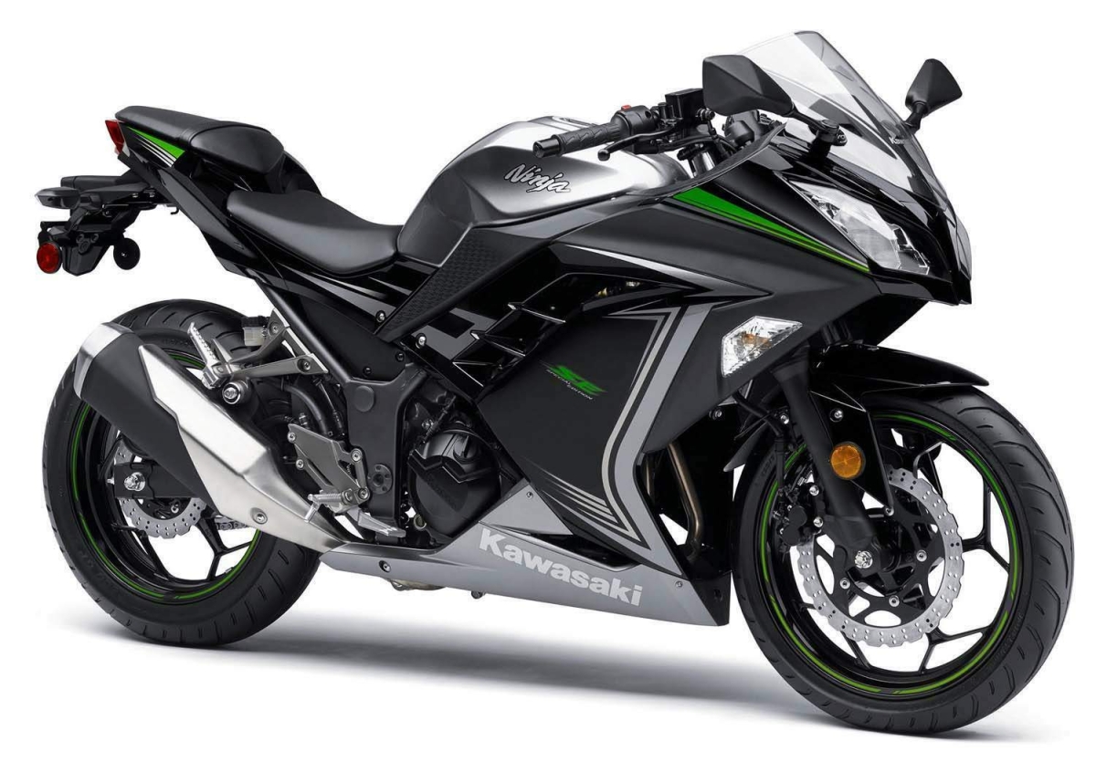 Kawasaki 300 Special Edition